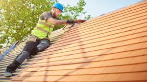 Steel Roofing in Fruitland, NC